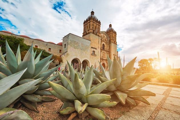 Large agave plants in the foreground of a historic stone church with two ornate bell towers at sunset.