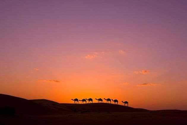 Una caravana de siete camellos silueteados en una duna de arena, caminando contra un cielo de atardecer púrpura y naranja.