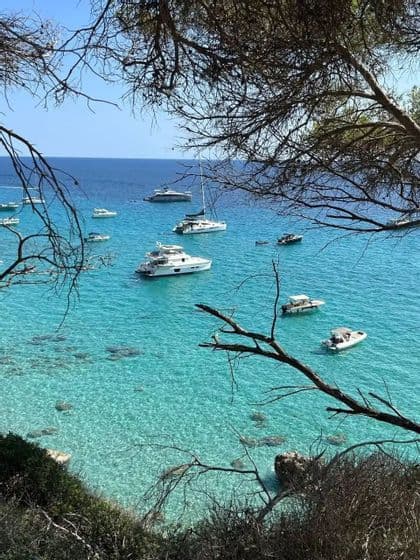 Verschiedene Boote und Yachten ankern in einer Bucht mit klarem, türkisfarbenem Wasser, betrachtet durch die Silhouette von Baumzweigen.