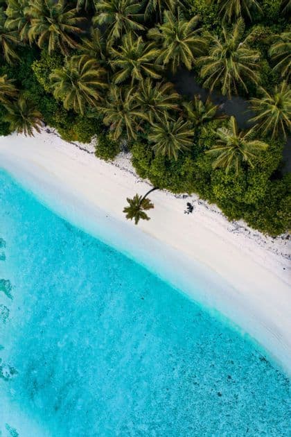 Una vista aerea dall'alto di una spiaggia tropicale di sabbia bianca che costeggia acque limpide e turchesi e una rigogliosa foresta di palme.