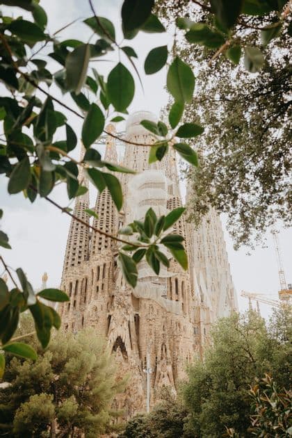 Una catedral de piedra ornamentada con imponentes agujas enmarcadas por ramas de árboles verdes y frondosas bajo un cielo nublado.