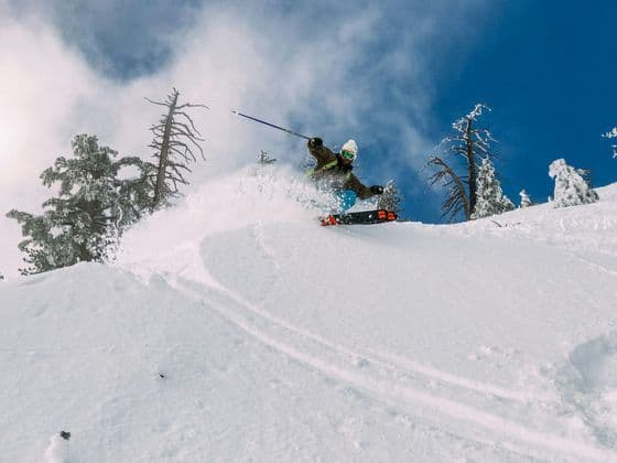 A skier carving through deep snow on a mountain slope surrounded by snow-covered pine trees under a blue sky.