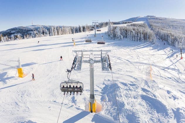 Chairlifts carrying skiers over a snowy mountain slope with pine trees under a clear blue sky.