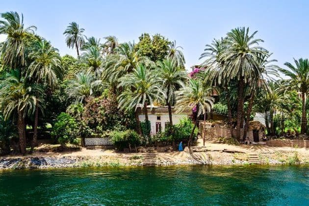Lussureggianti palme verdi e piccoli edifici costeggiano la calma riva del fiume sotto un cielo limpido.