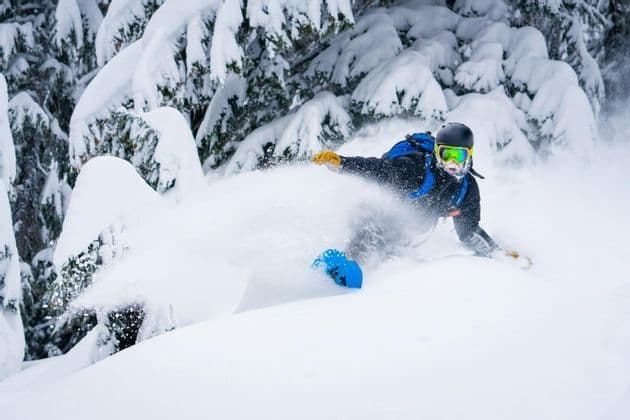 Un snowboarder che fa carving nella neve fresca profonda vicino a pini innevati