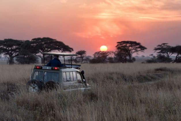 A safari vehicle driving through tall savanna grass toward a glowing sunset with scattered acacia trees.