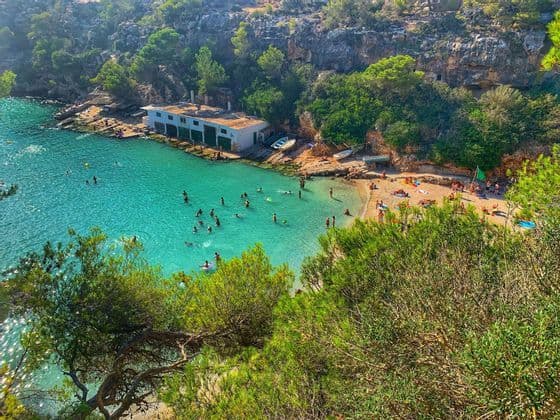 Vista dall'alto di una caletta dove le persone nuotano in acqua turchese e si rilassano su una spiaggia sabbiosa incastonata tra scogliere e alberi.