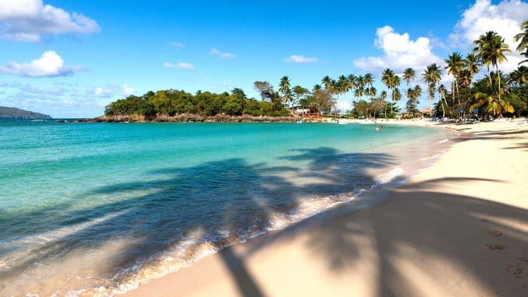 Las sombras de las palmeras caen sobre una playa de arena blanca junto a aguas turquesas, con una exuberante península verde al fondo bajo un cielo azul.