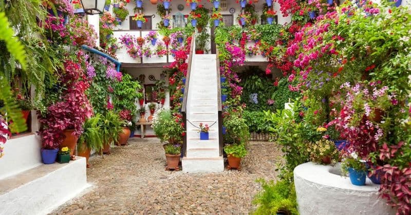 A cobblestone courtyard with a central staircase, its white walls covered in colorful potted flowers and lush green plants.