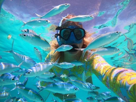 Eine Person mit Schnorchelmaske und farbenfrohem Neoprenanzug macht ein Selfie beim Schwimmen unter Wasser, umgeben von einem Fischschwarm.