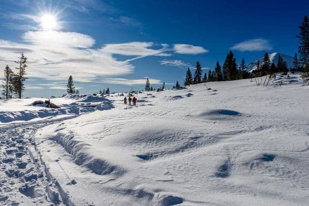 A WeRoad group trip hikes across a vast, sunny snowscape with pine trees under a clear blue sky.