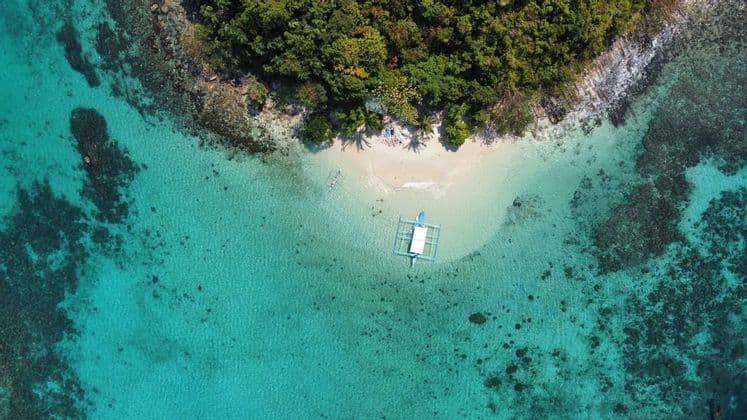 Vue depuis les eaux claires et peu profondes d'une île tropicale, avec une plage de sable blanc, des palmiers et une colline boisée sous un ciel bleu.