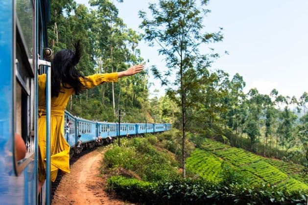 Una persona con un vestido amarillo se asoma por la ventana de un tren azul mientras este atraviesa exuberantes plantaciones de té verde.