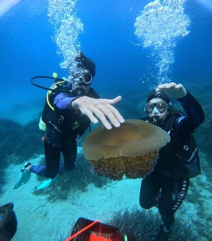 Due persone di un gruppo WeRoad in immersione subacquea osservano da vicino una grande medusa.