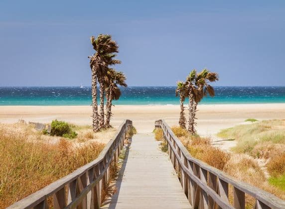 Une passerelle en bois mène à travers les dunes de sable bordées de palmiers jusqu'à une plage aux eaux bleues sous un ciel dégagé.