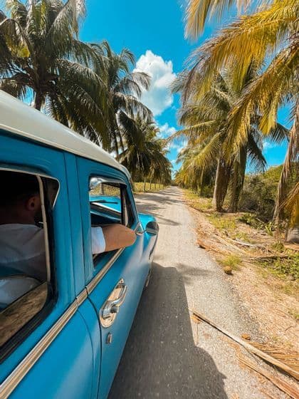 Ein blauer Oldtimer fährt auf einer palmengesäumten Straße, ein Arm ruht lässig auf dem offenen Fenster. Ein blauer Oldtimer fährt auf einer palmengesäumten Straße, ein Arm ruht lässig auf dem offenen Fenster.