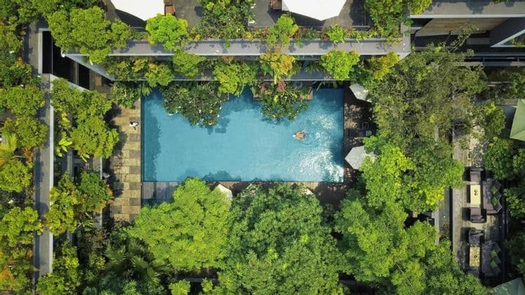 Vue plongeante d'une personne nageant dans une piscine rectangulaire entourée d'arbres verdoyants et d'une architecture hôtelière moderne.