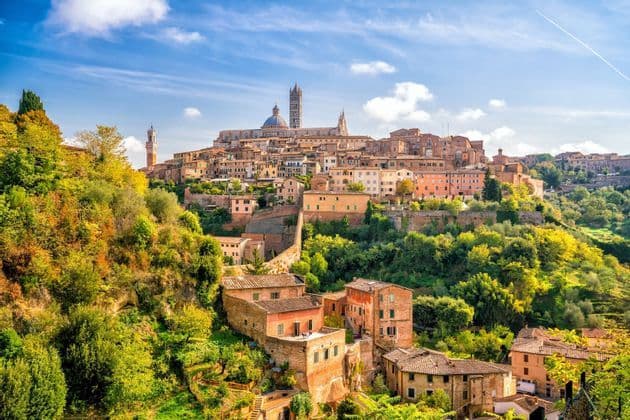 Una città storica con una cattedrale costruita su una lussureggiante collina verde sotto un cielo azzurro con nuvole bianche.
