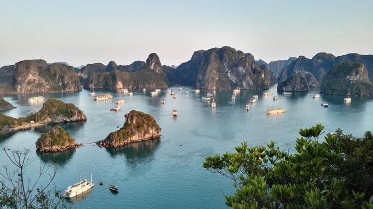 Numerous tour boats sail on calm blue water between towering, tree-covered limestone karsts.