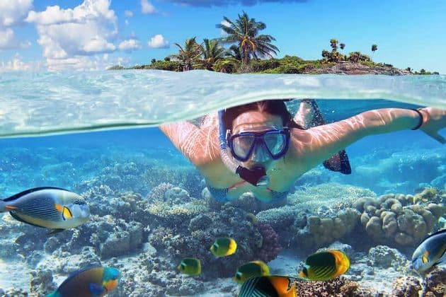 A split-level view of a woman snorkeling underwater above a coral reef with colorful fish, with a tropical island on the surface.