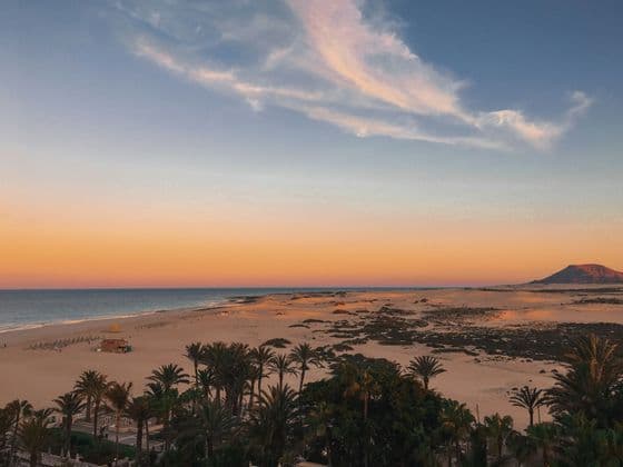 Paesaggio di una spiaggia di sabbia e dune che costeggiano l'oceano, con palme in primo piano al tramonto.