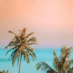 Two palm trees stand before a calm turquoise ocean under a pink and orange sky.