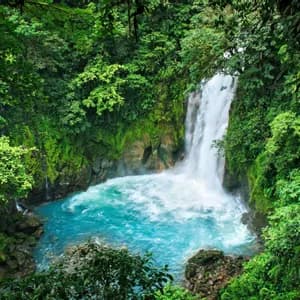 A waterfall cascades into a turquoise pool surrounded by a lush green rainforest.
