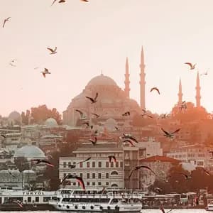 Una bandada de gaviotas vuela sobre el agua con un ferry, frente a un horizonte urbano con una gran mezquita y minaretes.