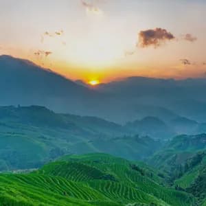 Vibranti terrazze di riso verdi su dolci colline con il sole che tramonta dietro montagne lontane sotto un cielo crepuscolare