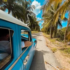 Eine Person legt ihren Arm auf das offene Fenster eines blauen Oldtimers, der eine von Palmen gesäumte Straße entlangfährt.