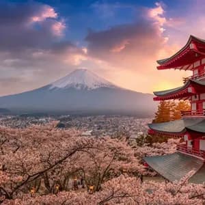 Una pagoda roja domina una ciudad desde una colina cubierta de cerezos en flor, con una montaña nevada en la distancia al atardecer.
