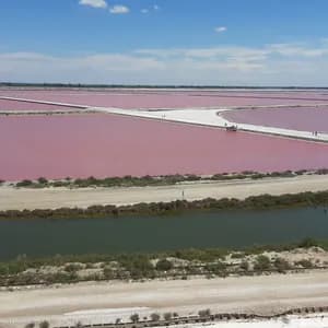 Une vue aérienne de vastes salines roses sectionnées par des chemins blancs, avec un canal vert au premier plan sous un ciel bleu.