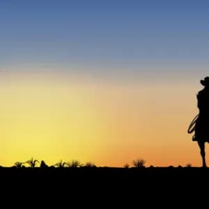 A silhouette of a cowboy on a horse looking out at a sunset with three birds flying in the sky.