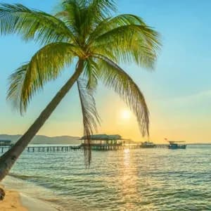Una palma si china su un mare calmo da una spiaggia sabbiosa al tramonto, con un molo e palafitte in lontananza.