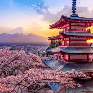 A red multi-tiered pagoda stands among blooming cherry blossom trees, overlooking a city and a distant snow-capped mountain at sunset.