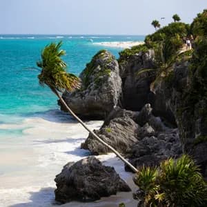 A palm tree leans out from a rocky, verdant cliff over a white sand beach with turquoise water.