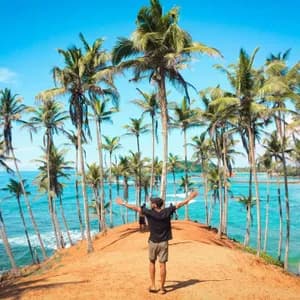 Un uomo visto di spalle sta con le braccia distese su una collina sabbiosa che si affaccia su un oceano turchese fiancheggiato da alte palme.