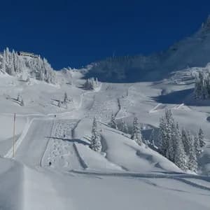 Weitblick auf ein schneebedecktes Gebirgstal mit Skipisten, schneebestäubten Kiefern und einem Skilift unter klarem blauem Himmel.