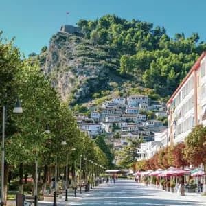 Una calle ancha y arbolada conduce a un pueblo en la ladera con casas blancas y una fortaleza en la cima.