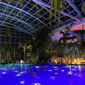 La gente nada en una gran piscina cubierta iluminada con luces azules por la noche, rodeada de palmeras bajo un techo de cristal.