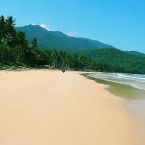 Una vasta spiaggia sabbiosa si estende lungo una costa orlata di palme, con lussureggianti montagne verdi sullo sfondo sotto un cielo limpido.