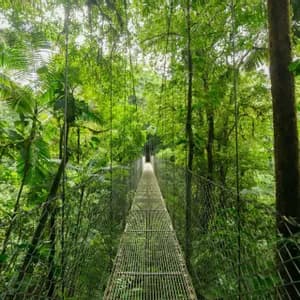 Un lungo ponte sospeso in metallo con sponde in rete metallica si estende in una lussureggiante e verde volta della giungla.