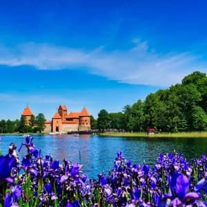 Un castello di mattoni rossi su un'isola in un lago, ammirato da un campo di iris viola sotto un cielo azzurro e limpido.