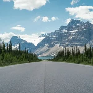 Una strada asfaltata conduce attraverso una fitta pineta verso un lago lontano e grandi montagne innevate.