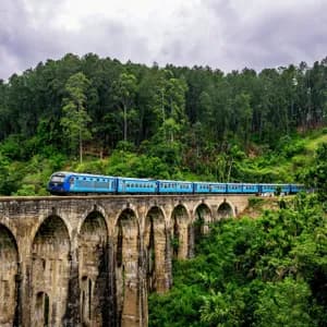 Un train de passagers bleu traverse un grand pont de pierre à arches multiples, entouré d'une forêt verte luxuriante et dense, sous un ciel nuageux.
