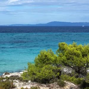 Una costa rocciosa con alberi verdi si affaccia su un mare turchese e blu profondo, con una terraferma lontana sotto un cielo nuvoloso.