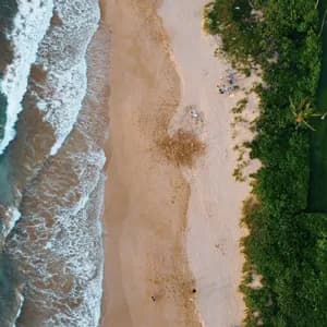 Vista aérea de una costa que muestra el océano, una playa de arena y un parque verde adyacente con gente.
