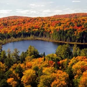 Un lago blu è circondato da una fitta foresta con fogliame autunnale arancione e giallo che copre dolci colline sotto un cielo parzialmente nuvoloso.