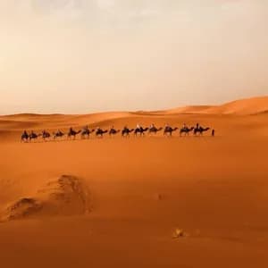 A WeRoad group trip riding in a camel caravan across vast orange sand dunes in the desert.
