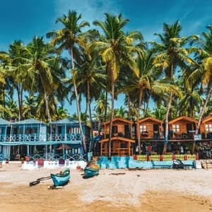 Des bungalows colorés en bord de mer et un bâtiment bleu sont posés sur le sable, adossés à une dense palmeraie de grands cocotiers sous un ciel bleu clair.